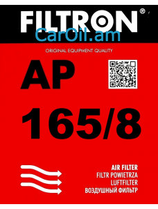 Filtron AP 165/8